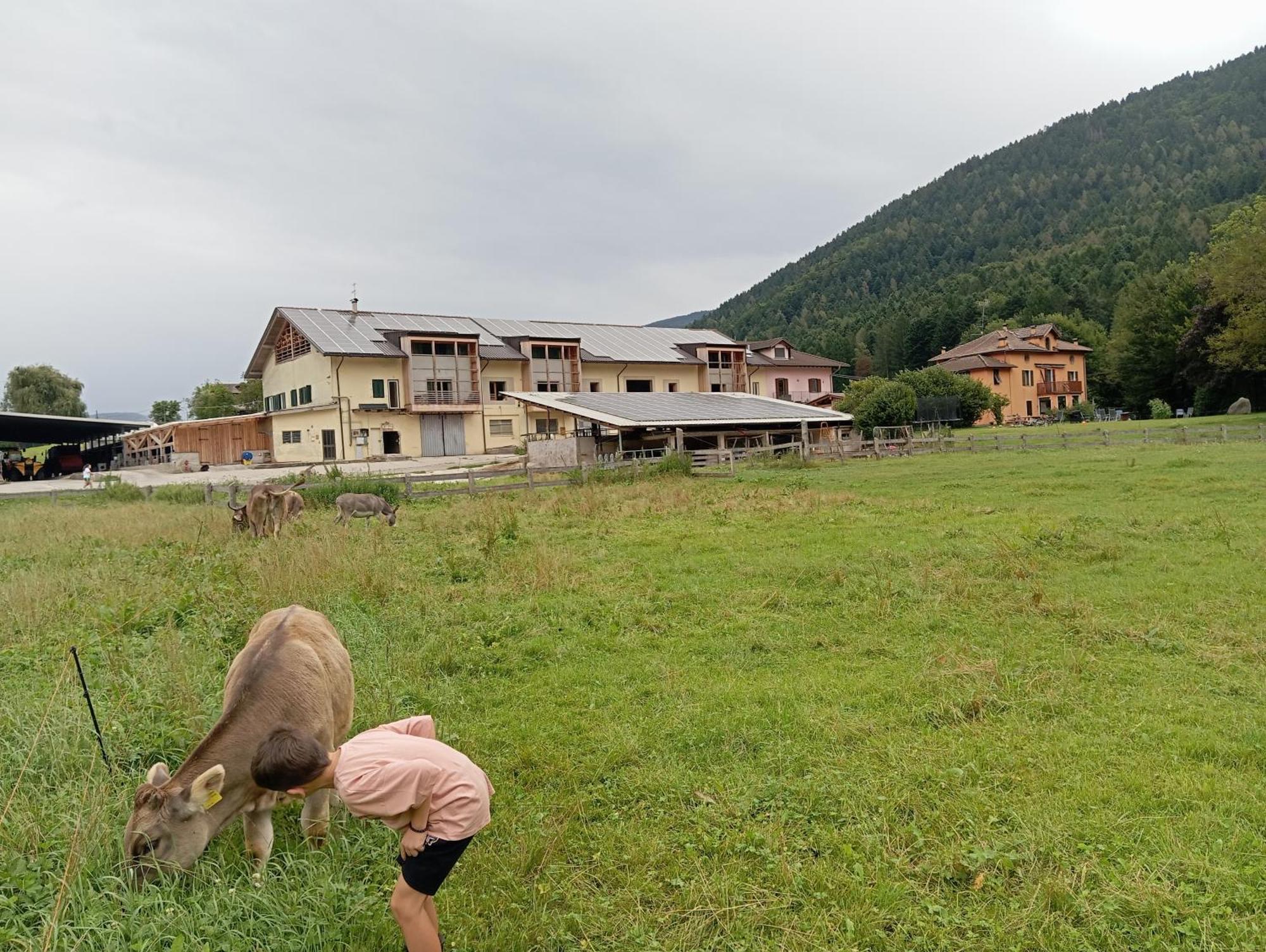 Maso Torbiera- Rural And Mountain Lodging Fiavè Exterior foto
