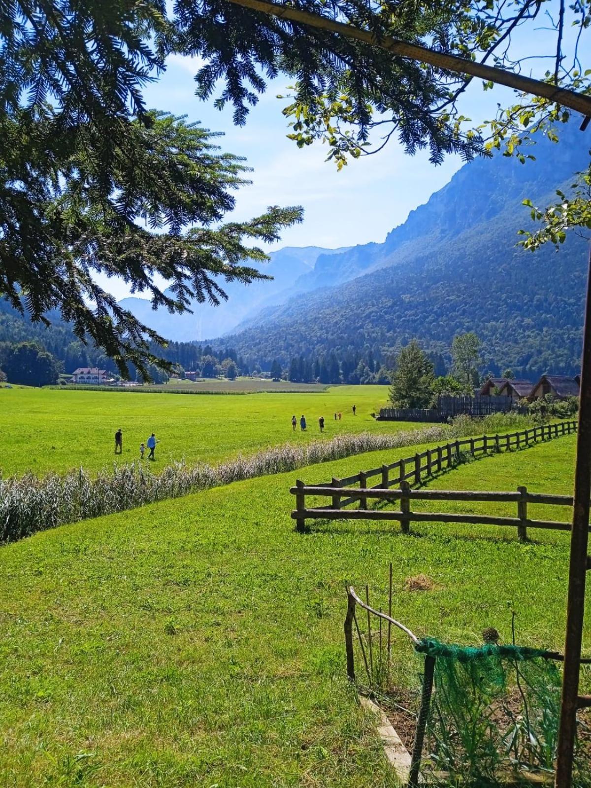 Maso Torbiera- Rural And Mountain Lodging Fiavè Exterior foto